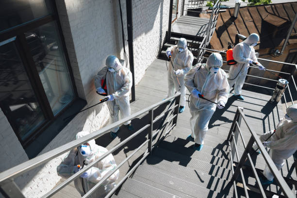 Best Basement Mold Removal  in Mickleton, NJ