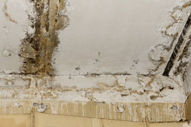 Best Indoor Air Quality Assessment  in Mickleton, NJ