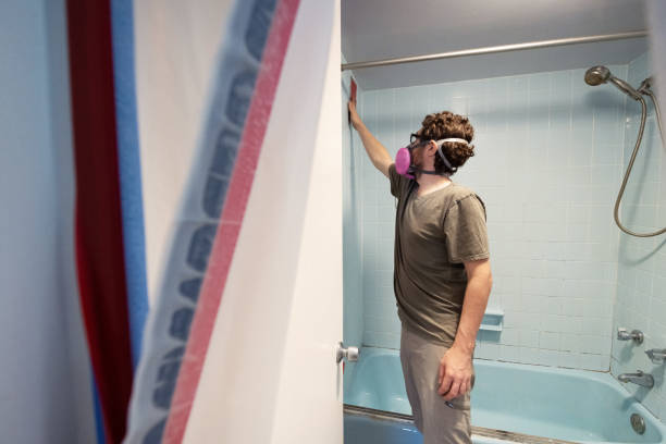  Mickleton, NJ Mold Removal Pros