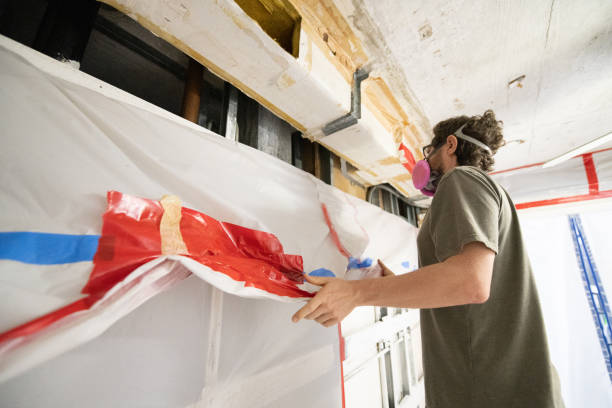 Best Industrial Mold Remediation  in Mickleton, NJ