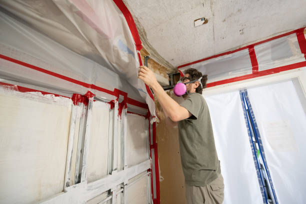 Best Mold Documentation for Insurance Claims  in Mickleton, NJ