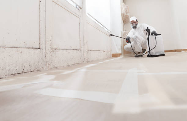 Biohazard Mold Removal in Mickleton, NJ